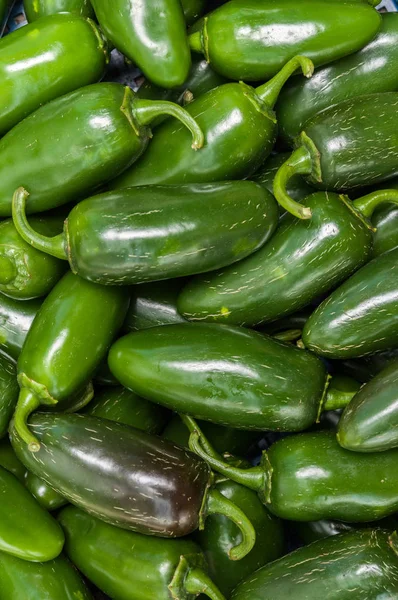 Chilli Paprika Hot Zeleniny Závod — Stock fotografie