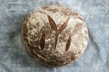 Gri arka planda taze ev yapımı ekmek. Kıtır. Fransız ekmeği. Leavenda ekmek. Mayasız ekmek