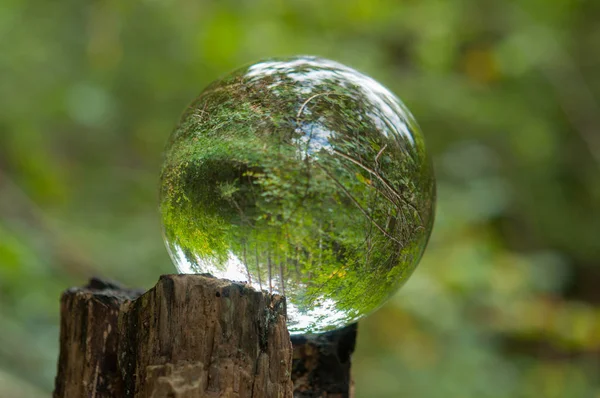 Ліс Відображенням Кульки — стокове фото