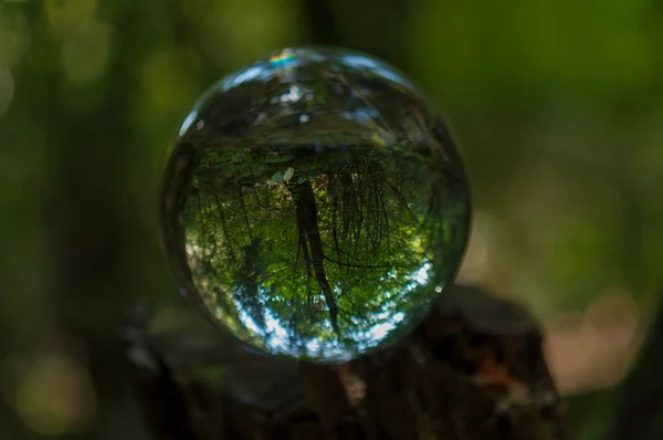 Forêt Avec Reflet Boule Cristal — Photo