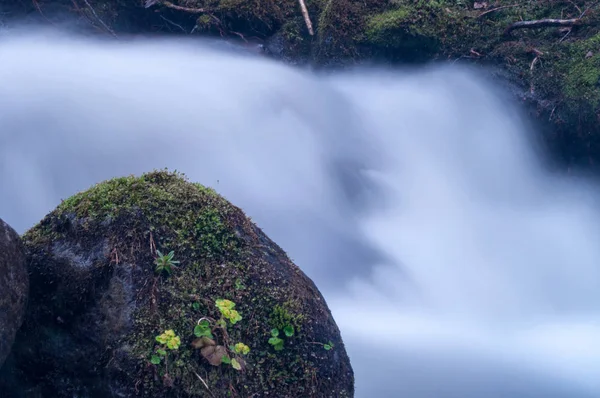 Movimento turvo da água — Fotografia de Stock