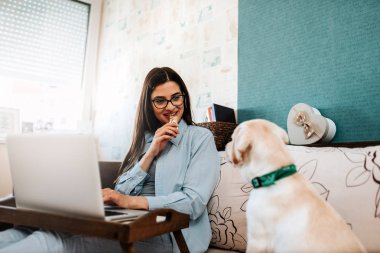 Komik küçük köpek sahipleri yiyecek arıyor.