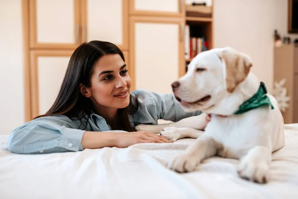 Beautiful Girl Looking Her Dog Bed — Stock Photo, Image