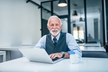 Ofiste olgun iş adamı portresi.