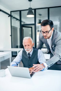 Bilgi üstünde laptop için üst düzey meslektaşım gösterilen yakışıklı iş adamı. 