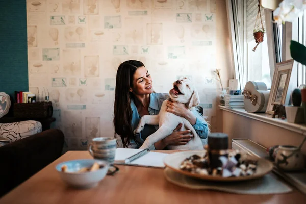 Şirin mutlu labrador köpek ve onun güzel kadın sahibi evde oynamak.