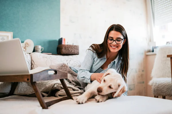 Красива Брюнетка Жінка Насолоджується Ранковими Вихідними Собакою — стокове фото