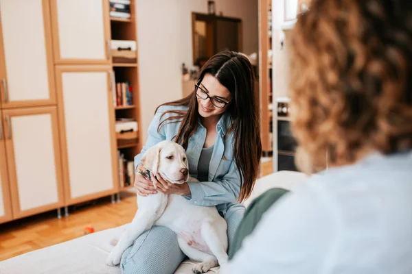 Two Girl Friends Talking Together Apartment One Holding Puppy — Stock Photo, Image