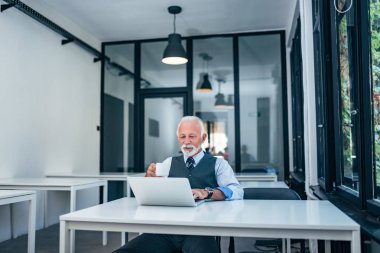 Üst düzey lideri modern ofis içinde laptop bakarak.