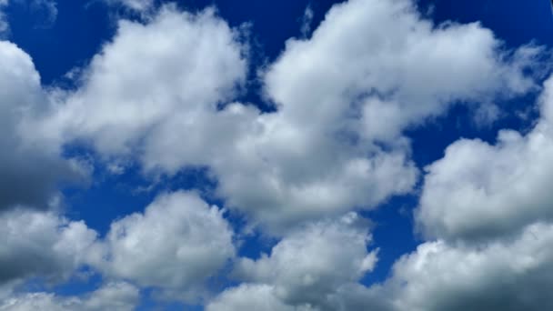Des Nuages Blancs Volent Contre Ciel Bleu Météo Estivale — Video