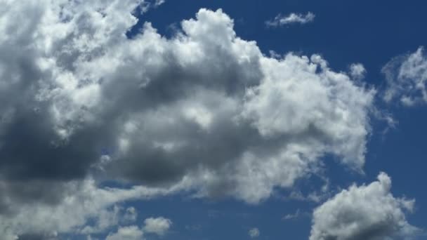 Des Nuages Blancs Volent Contre Ciel Bleu Météo Estivale — Video