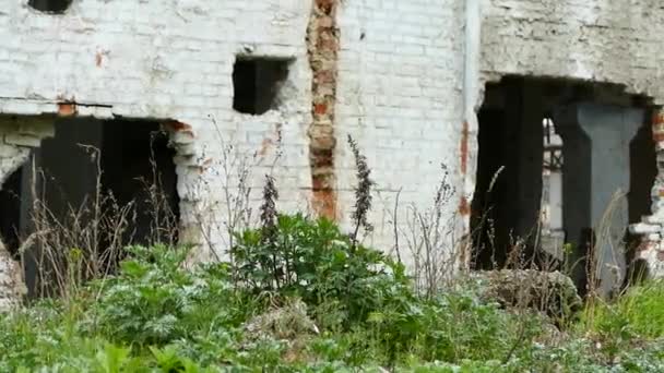 Die Ruinen Einer Alten Fabrik Das Verlassene Gebäude War Mit — Stockvideo