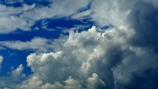 Vackra Moln Flyger Över Himlen — Stockvideo