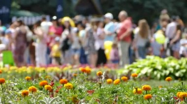 İnsanlar parkta yürüyorlar. Tatillerde toplu kutlamalar. Dinlenme ve sağlık.