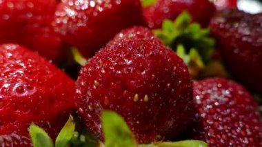 Siyah ve yeşil arka planda bir kasede taze ve olgun çilekler. Bahçelerinden çilekler geliyor. Kırmızı vitamin meyveleri