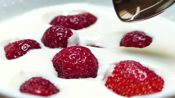 Fraises Avec Crème Sur Une Assiette Cuillère Manger Délicieux Dessert — Video