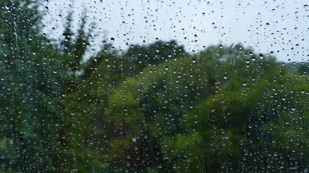 Llueve Fuera Ventana Las Gotas Lluvia Bajan Por Cristal Textura — Vídeo de stock