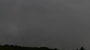 Yıldırımla fırtına ve duş. Şiddetli yağmur, kara bulutlar, rüzgar ve kasırga. Ormanda ve ormanda yağmur mevsimi ağaçlara düşer..  