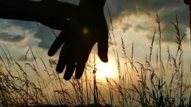 Baba ve oğul günbatımında elele  