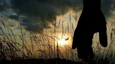 Baba ve oğul günbatımında elele  