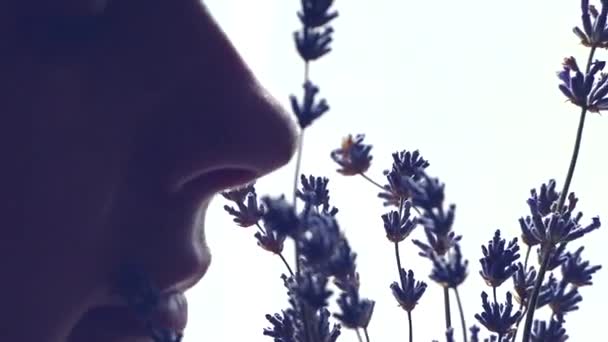 Девушка Нюхает Лавандовые Цветы Природные Ароматы — стоковое видео
