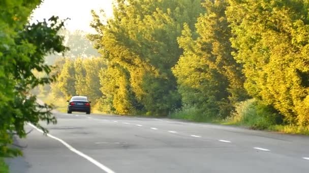 Bilen Lämnar Fjärran Längs Vägen — Stockvideo