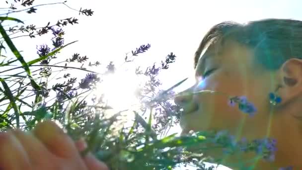 那个女孩在嗅薰衣草的花朵 自然口味的自然 — 图库视频影像