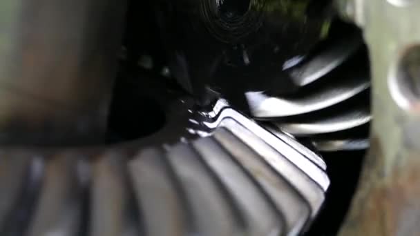 Mechanisme Met Stalen Tandwielen Reducer Gesmeerd Met Olie Voor Transmissie — Stockvideo