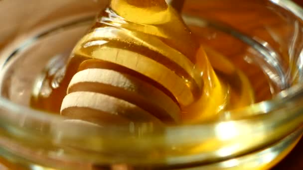 蜂蜜は 蜂蜜ディッパーまたは棒に注がれています 新鮮な蜂蜜をこする — ストック動画