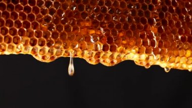 Petek bal akışı aşağı. Arka planda taze bal damlar.