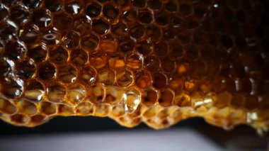 Petek bal akışı aşağı. Arka planda taze bal damlar.