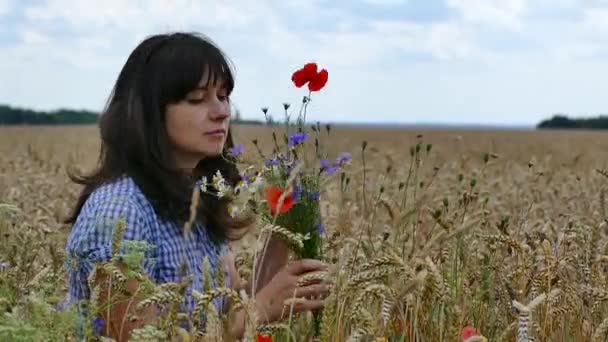 美丽的女孩在田野上收集野花 五颜六色的花朵 罂粟花 毛发和 Chamomiles — 图库视频影像