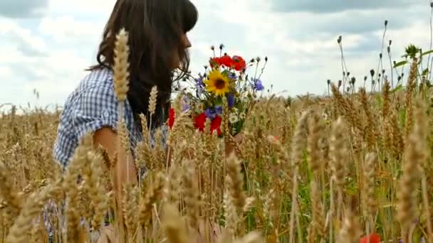 Hermosa Chica Recoge Flores Silvestres Campo Ramo Multicolor Flores Amapolas — Vídeos de Stock