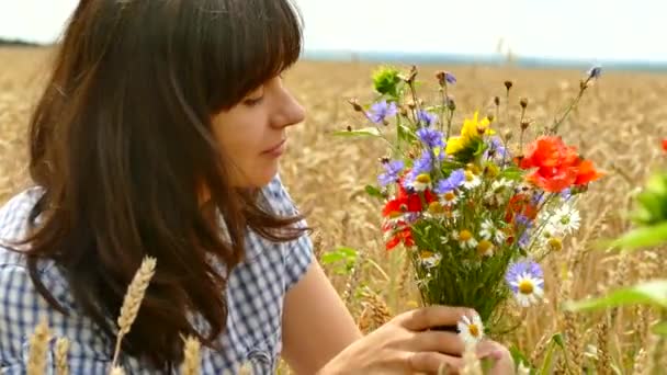 Hermosa Chica Recoge Flores Silvestres Campo Ramo Multicolor Flores Amapolas — Vídeos de Stock