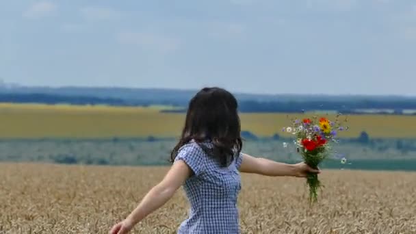 Όμορφο Κορίτσι Συλλέγει Αγριολούλουδα Στο Πεδίο Ένα Πολύχρωμο Μπουκέτο Από — Αρχείο Βίντεο