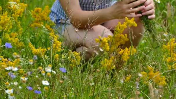 美しい少女は フィールド上の野生の花を収集します ポピー 毛および鎮静の色とりどりの花束 — ストック動画