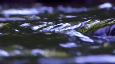 Kayaların arasında Nehri'nde su güzel akışı.