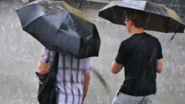 Piogge Intense Città Persone Sotto Gli Ombrelli Vanno Acquazzone — Video Stock