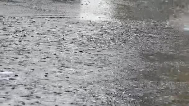 Zware Regenval Stad Mensen Onder Paraplu Gaan Onder Douche — Stockvideo