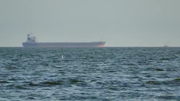 Grande Navio Carga Navega Mar Tráfego Mercadorias Através Oceano — Vídeo de Stock