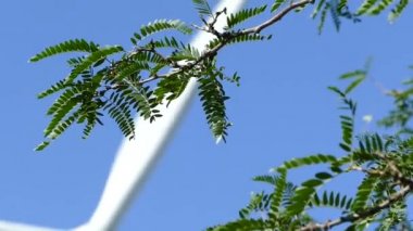 Rüzgar elektrik santrali. Rüzgar türbini operasyonda. Yeşil alternatif enerji kaynağı. Yel değirmeni bıçak dönüyor. Doğal enerji üretimi.