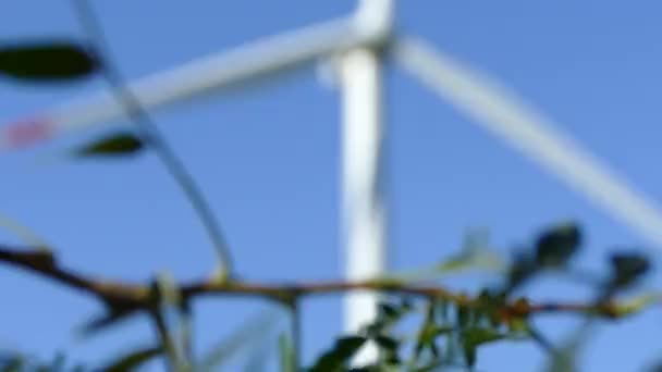 Central Eólica Turbina Eólica Operação Fonte Energia Alternativa Verde Lâminas — Vídeo de Stock