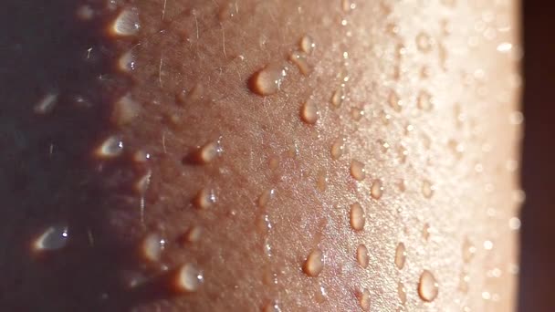 湿透了的晒黑的身体上的水滴 一只手滑过一个女人的光秃秃的肩膀 — 图库视频影像