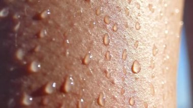 Islak bronzlaşmış bir vücuda bir damla su..