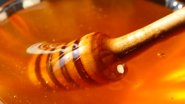 蜂蜜は蜂蜜のスプーンから皿に注がれます 日当たりの良い絞り蜂蜜のスパークリング — ストック動画
