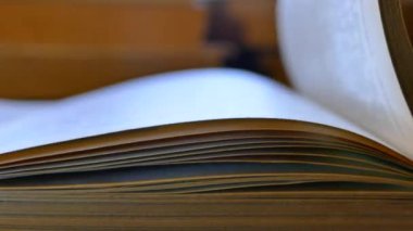 Kitabın sayfaları birer birer çevrildi. Kütüphanede kitap okuyor. Edebiyat bilgisi. Arşivde yığınla kitap var. Kağıda basılmış materyaller. 