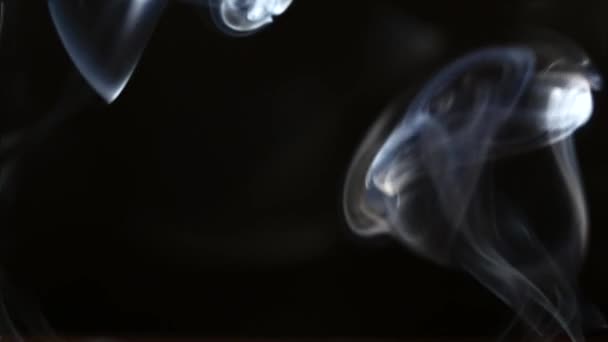 Bela Fumaça Cinza Fundo Preto Fumo Cigarro Fumo Cachimbo Turbulência — Vídeo de Stock