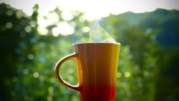 Beba Chá Delicioso Natureza Uma Caneca Chá Quente Pôr Sol — Vídeo de Stock