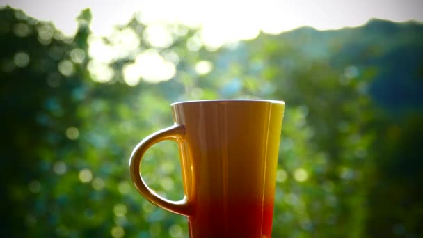 Beba chá delicioso na natureza. Uma caneca de chá quente ao pôr-do-sol. Há vapor de chá preto ou verde. Mão tomar um copo . — Vídeo de Stock