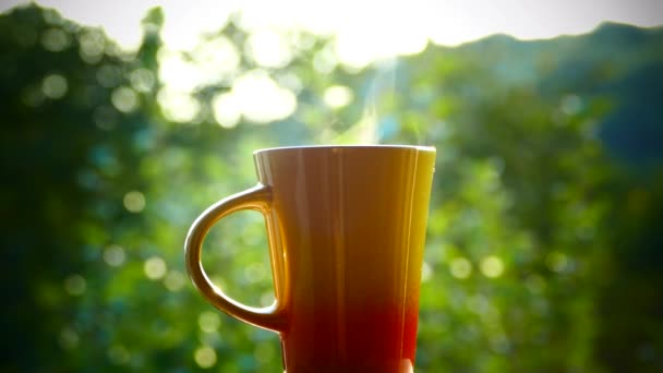 Drink delicious tea in nature. A mug of hot tea at sunset. There is steam from black or green tea. Hand take a cup..